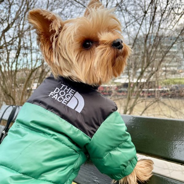 the dog face puffer jacket green