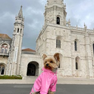 reflective-safety-yorkie-raincoat