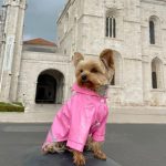 reflective safety yorkie raincoat