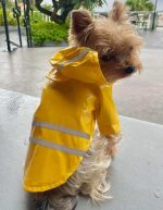 reflective-safety-yorkie-raincoat