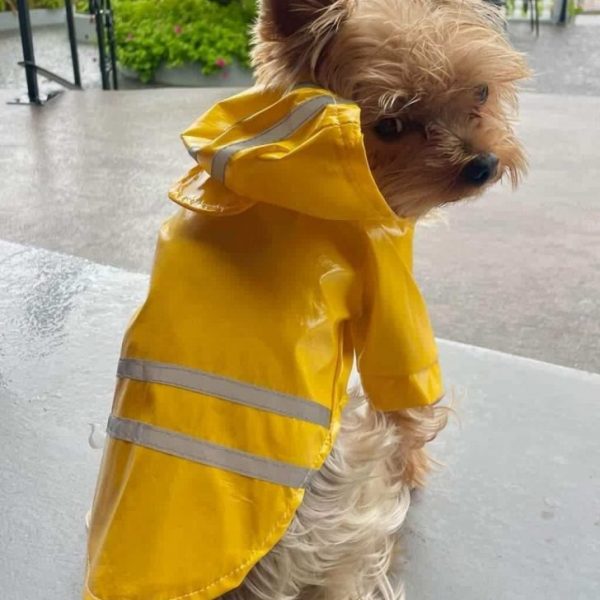 reflective safety yorkie raincoat