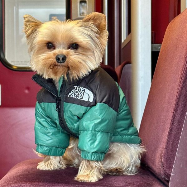 the dog face puffer jacket