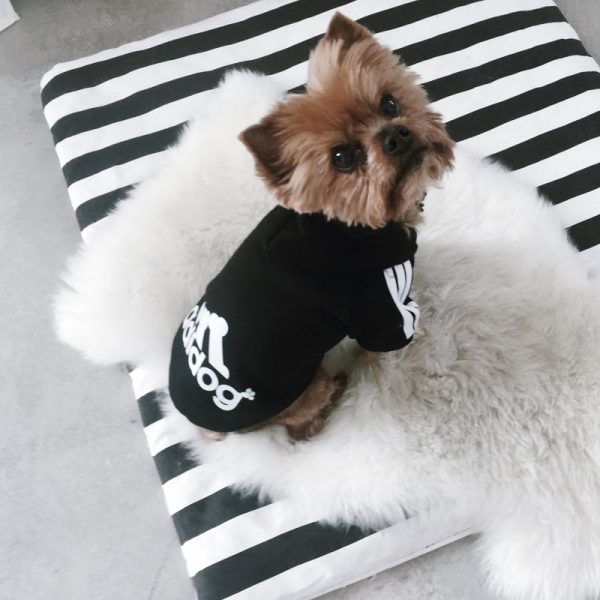 adidog-dog-hoodie