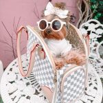 airplane-friendly-pet-carrier-yorkshire-terrier-luxury-carrier-bag