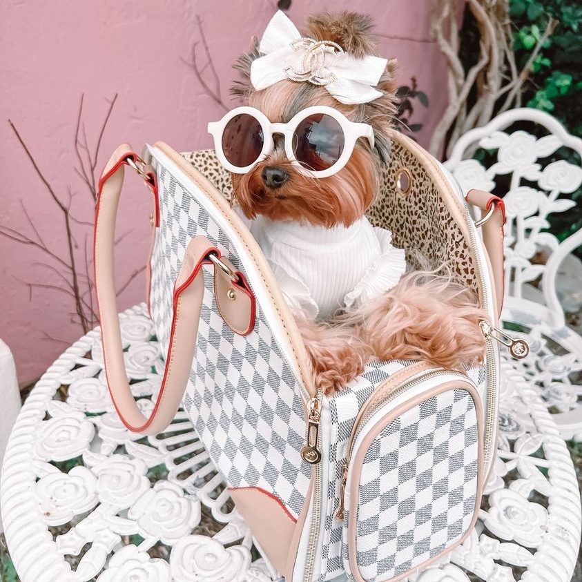 airplane-friendly-pet-carrier-yorkshire-terrier-luxury-carrier-bag airplane-friendly-pet-carrier-yorkshire-terrier-luxury-carrier-bag