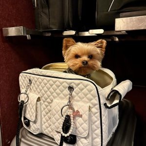 Pravda Monogram Designer Dog Handbag Yorkies Gram