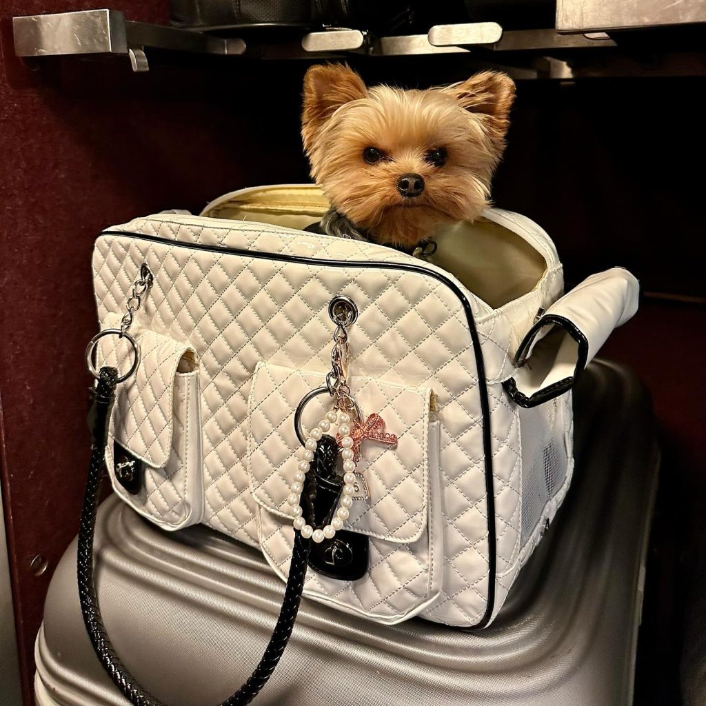peco luxury dog carrier
