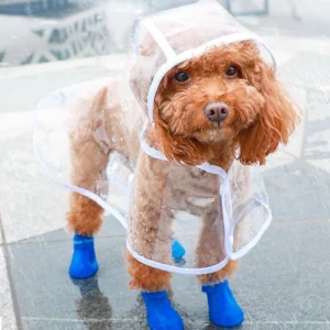 transparent-waterproof-dog-raincoat