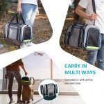 pet-expandable-carrier