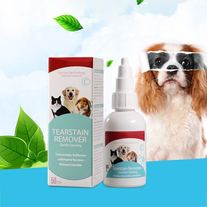 yorkie-eye-tear-stain-remover-2