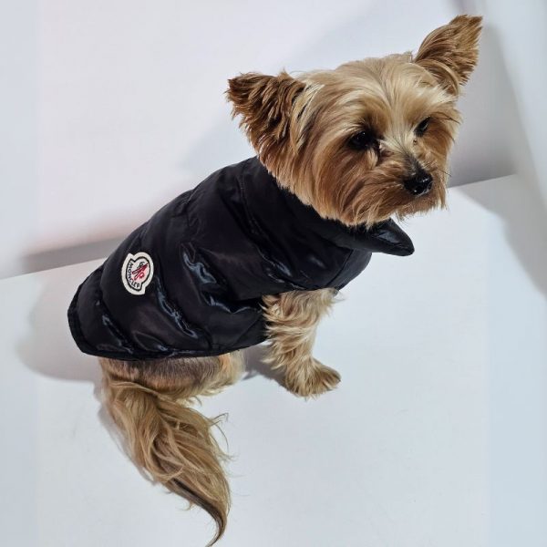 Yorkies Gram Moncler Yorkie Jacket