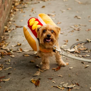 hotdog-costume