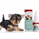 yorkie-eye-tear-stain-remover