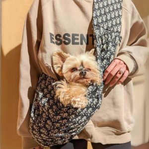 designer diordog bag