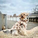 Luxury Double-Sided Yorkie Vest