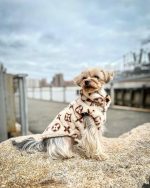 Luxury Double-Sided Yorkie Vest