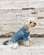 pawsomelv-dog-shirt