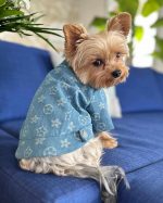pawsomelv-dog-shirt