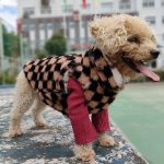 petluxlv-double-sided-coat-vest
