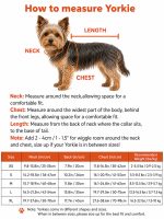 Yorkie Shark Swimming Vest - Image 3