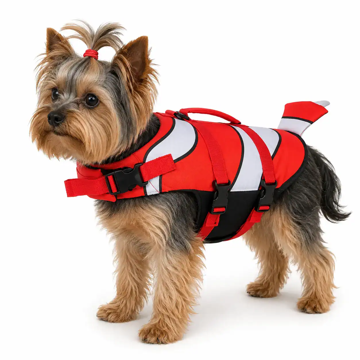 yorkie swiming life vest Yorkie Swimming Vest - Image 1
