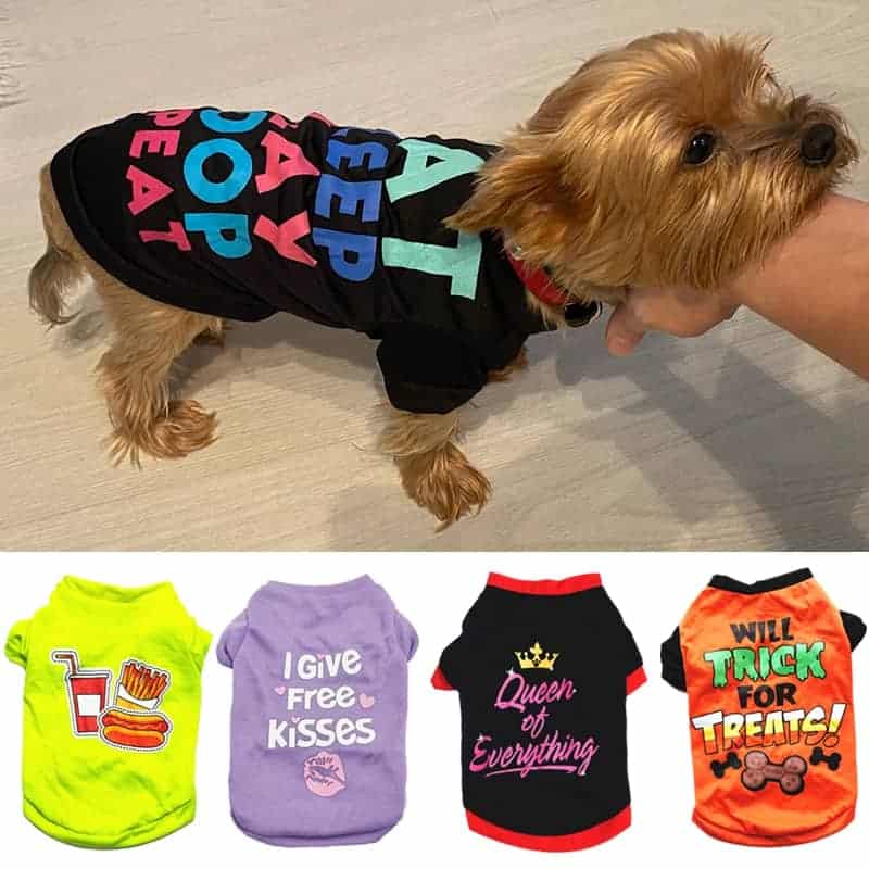 clothes for dogs