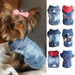 yorkshire-terrier-denim-shirt