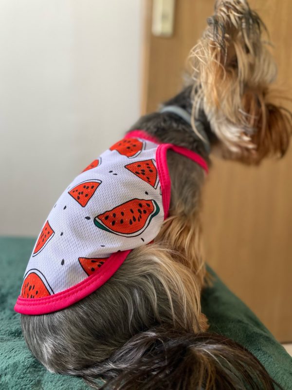 yorkie t-shirt