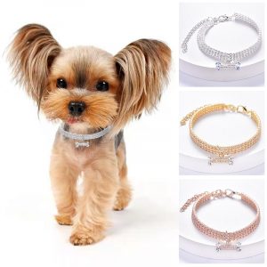 yorkie-collar-with-diamond-zircon