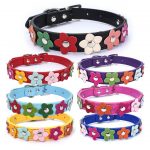 flowers-yorkshire-terrier-collar