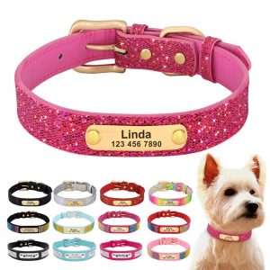 personalized-yorkie-collar