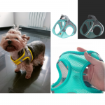 breathable-mesh-yorkie-harness