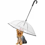 yorkie umbrella leash