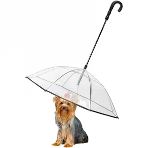 yorkie umbrella leash