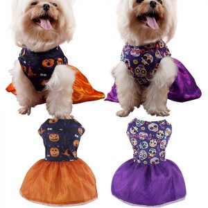 yorkie-halloween-costume-dress