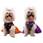 yorkie-halloween-costume-dress