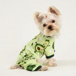 yorkie-pajama