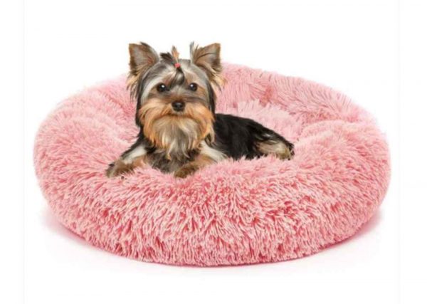 yorkie-soft-bed