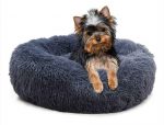 yorkie-soft-bed