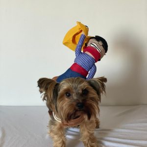 yorkie-halloween-costume