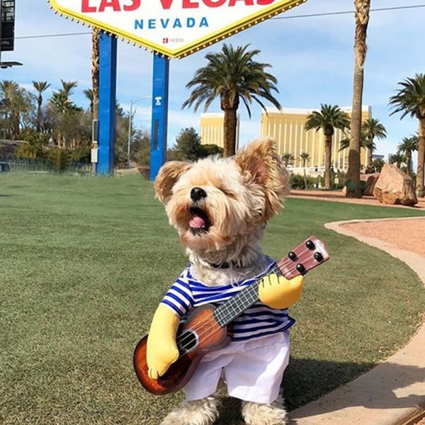 guitar-player-yorkie-costume