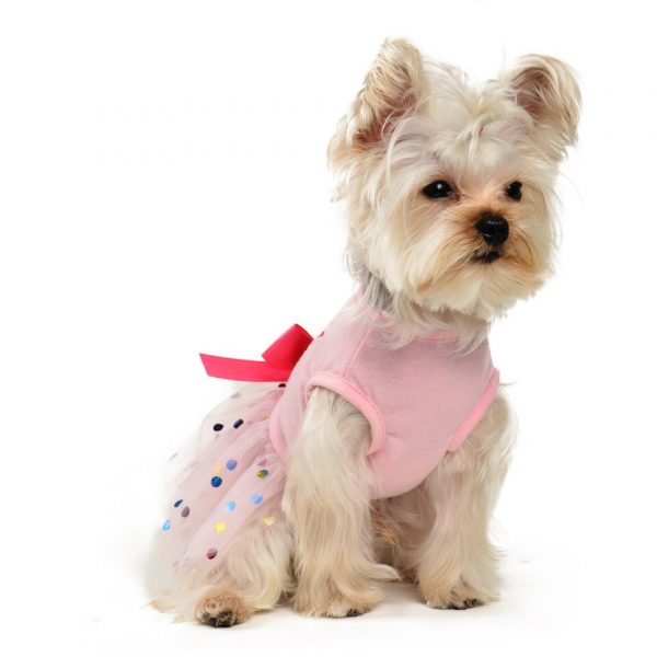 yorkie-birthday-wedding-dress