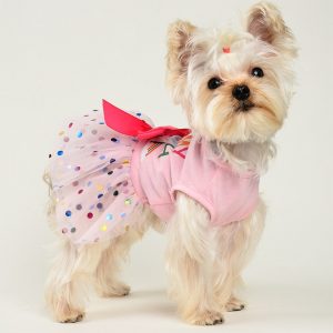 yorkie-birthday-wedding-dress