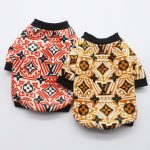 yorkie-designer-lv-jacket