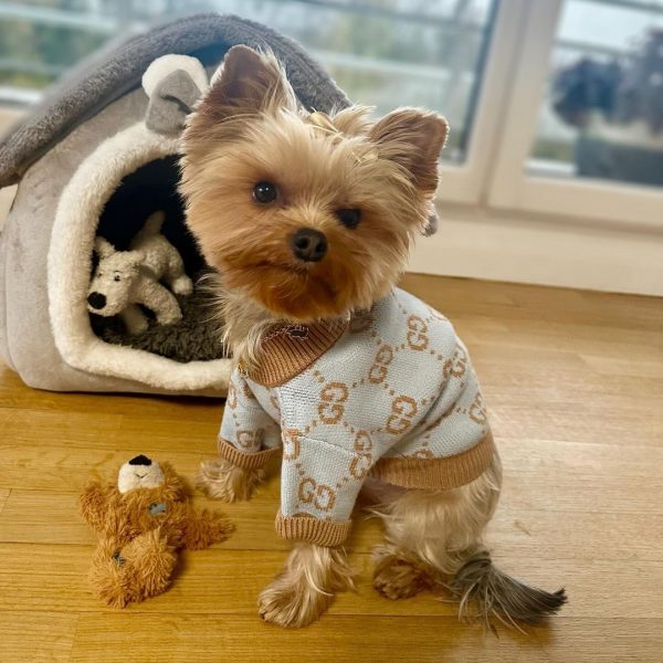 yorkie-gg-designer-sweater