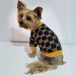 designer yorkie gg sweater