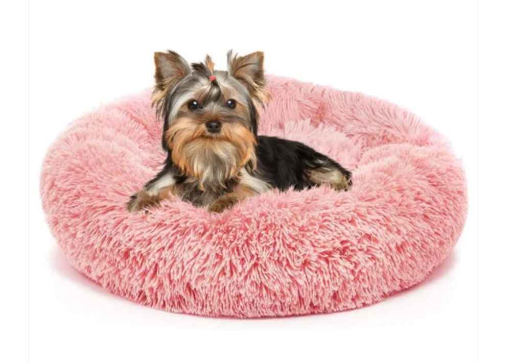 yorkie bed