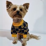 yorkies gram designer yorkie gg sweater