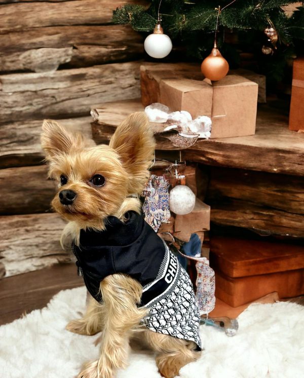 designer-yorkie-diordog-vest-jacket