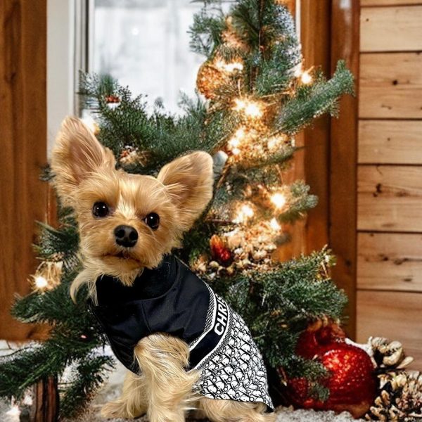 yorkie luxury clothes